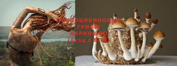 хмурый Алексеевка