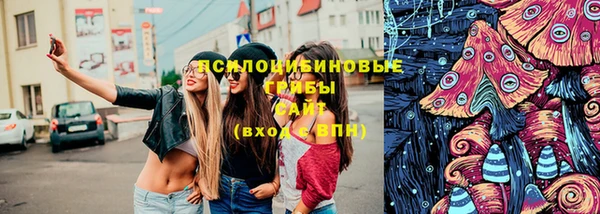 хмурый Алексеевка