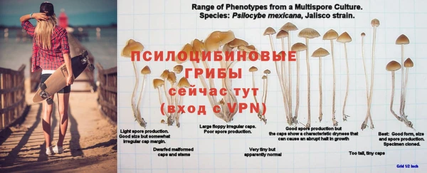ALPHA PVP Алексин