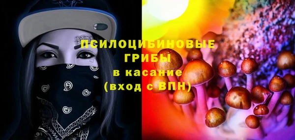 а пвп мука Алзамай